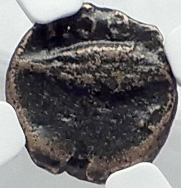 CHERSONESOS in THRACE Authentic Ancient 386BC Greek Coin LION GRAIN NGC i82078