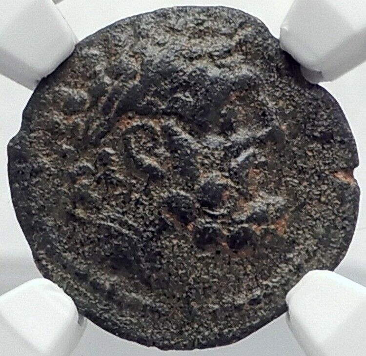 ANTIOCHOS IX KYZIKENOS Authentic Ancient Seleukid Greek Coin HERCULES NGC i82083