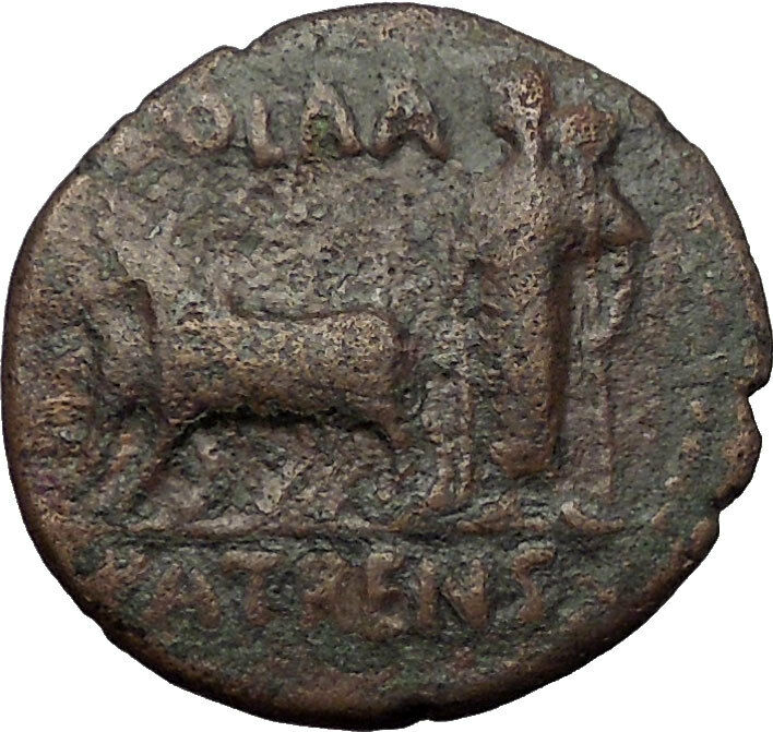 Divus AUGUSTUS Tiberius Time PATRAEA Ox Founding Peloponnesos Roman Coin i57640