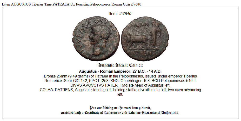 Divus AUGUSTUS Tiberius Time PATRAEA Ox Founding Peloponnesos Roman Coin i57640