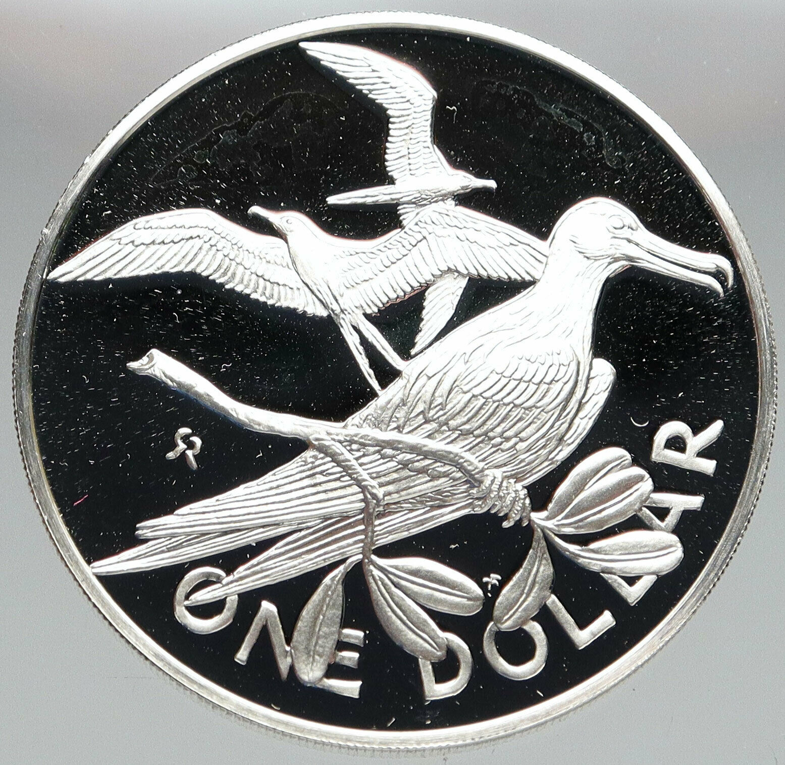 1980 British Virgin Islands UK Queen Elizabeth II BIRD Proof Silver Coin i83152