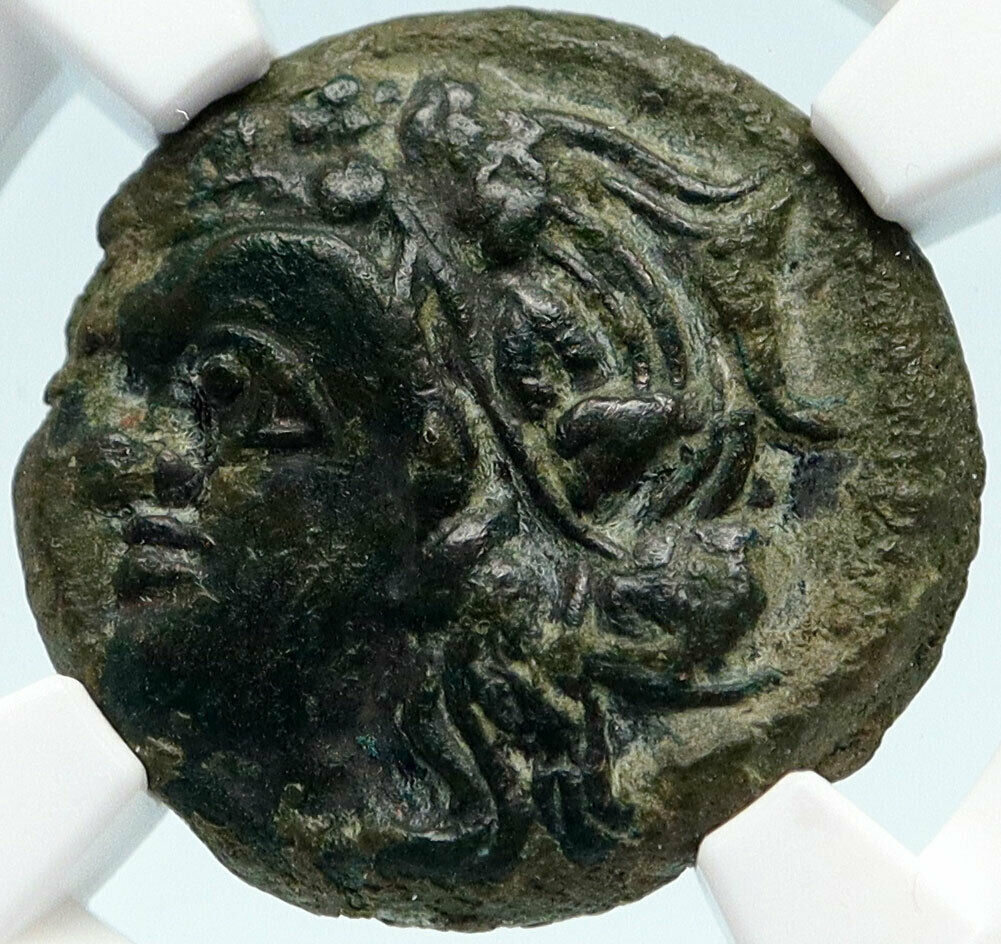 PANTIKAPAION in Bosporus 310BC Authentic Ancient Greek Coin PAN LION NGC i82964