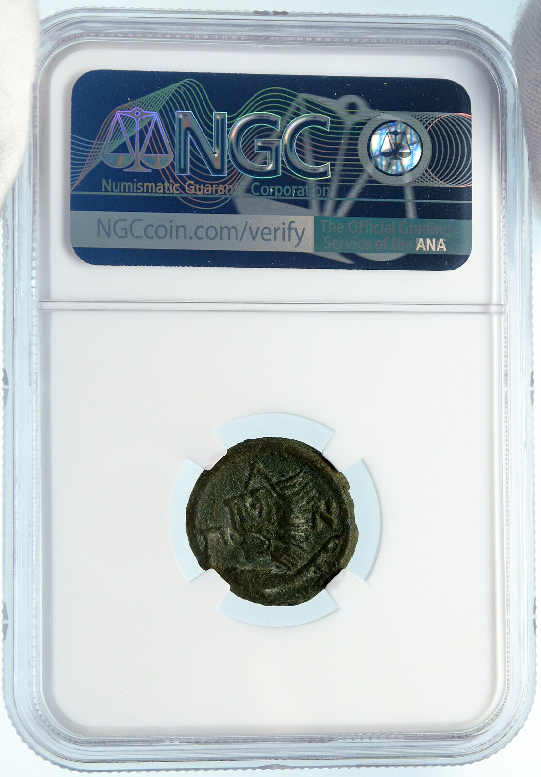 PANTIKAPAION in Bosporus 310BC Authentic Ancient Greek Coin PAN LION NGC i82964