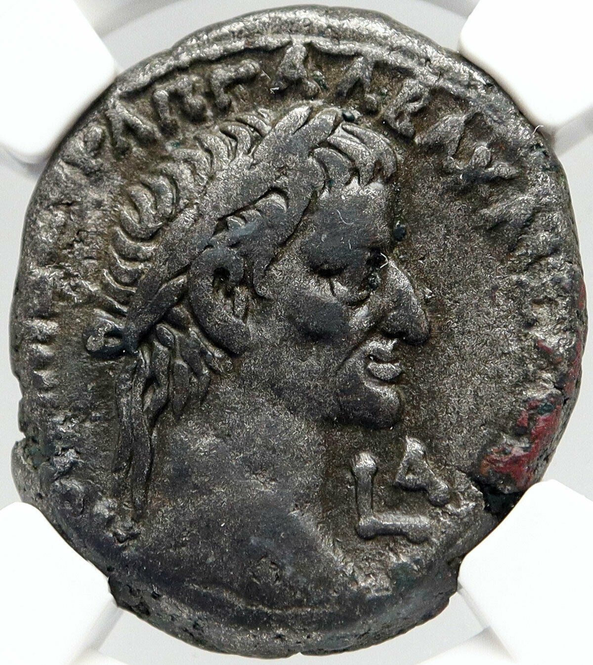 GALBA Rare Authentic Ancient Alexandria Egypt Tetradrachm Roman Coin NGC i83542