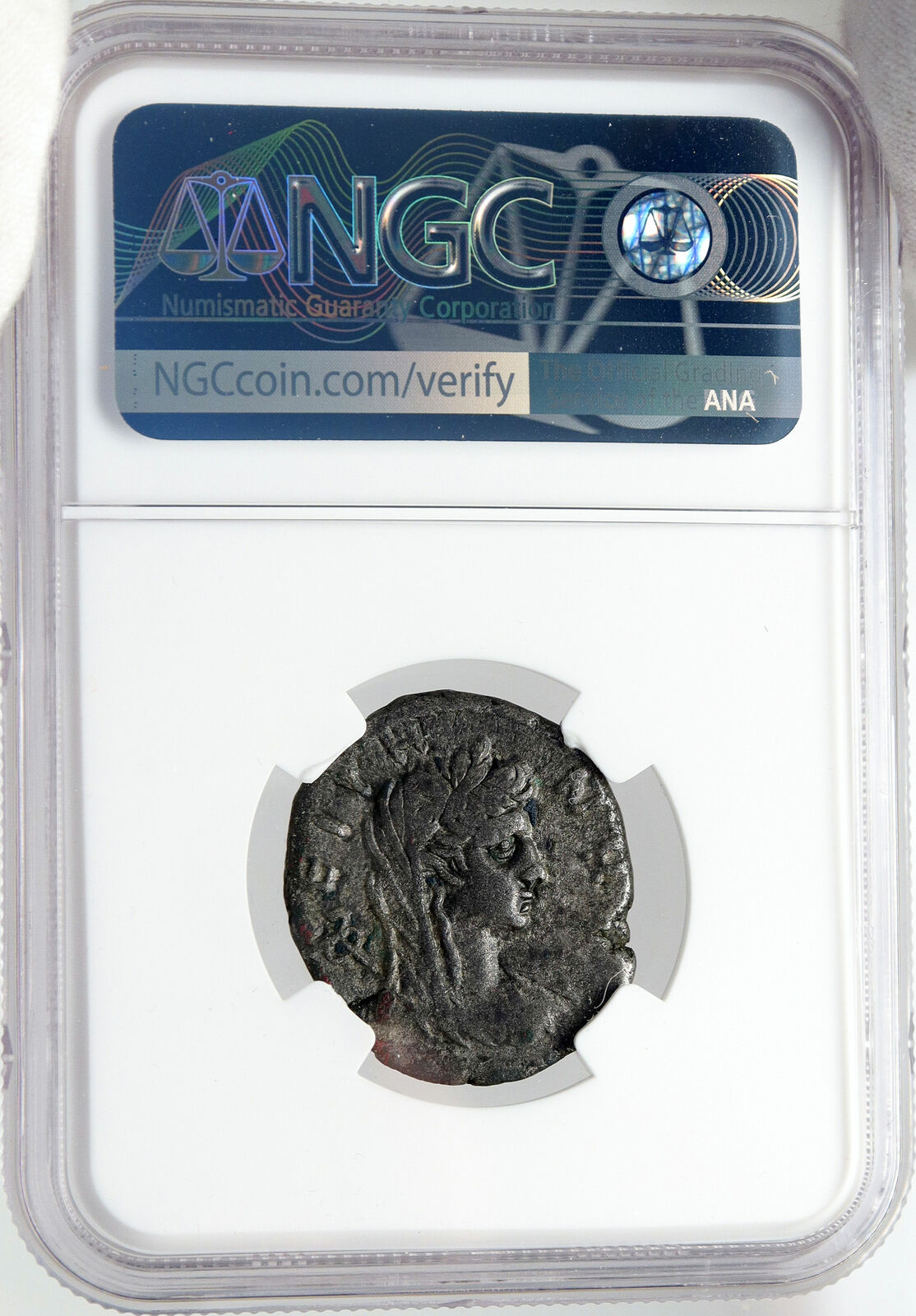 GALBA Rare Authentic Ancient Alexandria Egypt Tetradrachm Roman Coin NGC i83542