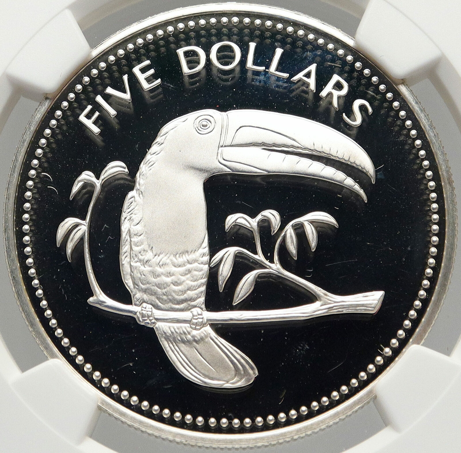 1975 BELIZE Authentic LARGE SILVER $5 COIN w TOUCAN BIRD NGC PF 69 i83555