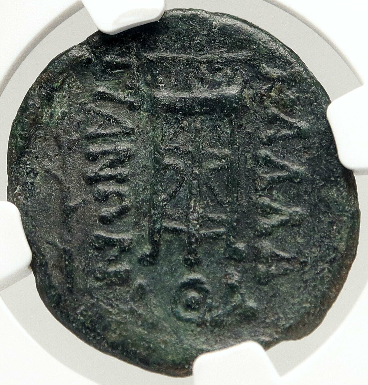 KALLATIS MOESIA Authentic Ancient 3-2CenBC Greek Coin APOLLO TRIPOD NGC i83567