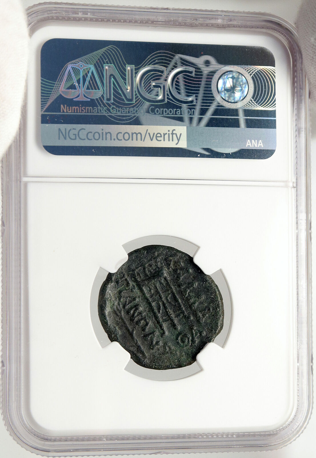 KALLATIS MOESIA Authentic Ancient 3-2CenBC Greek Coin APOLLO TRIPOD NGC i83567