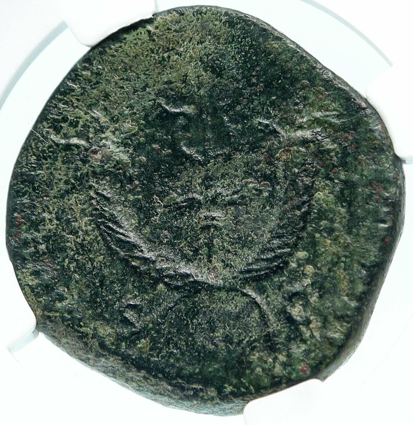 COMMODUS Authentic Ancient Rome SESTERTIUS Roman Coin CORNUCOPIAS NGC i83572