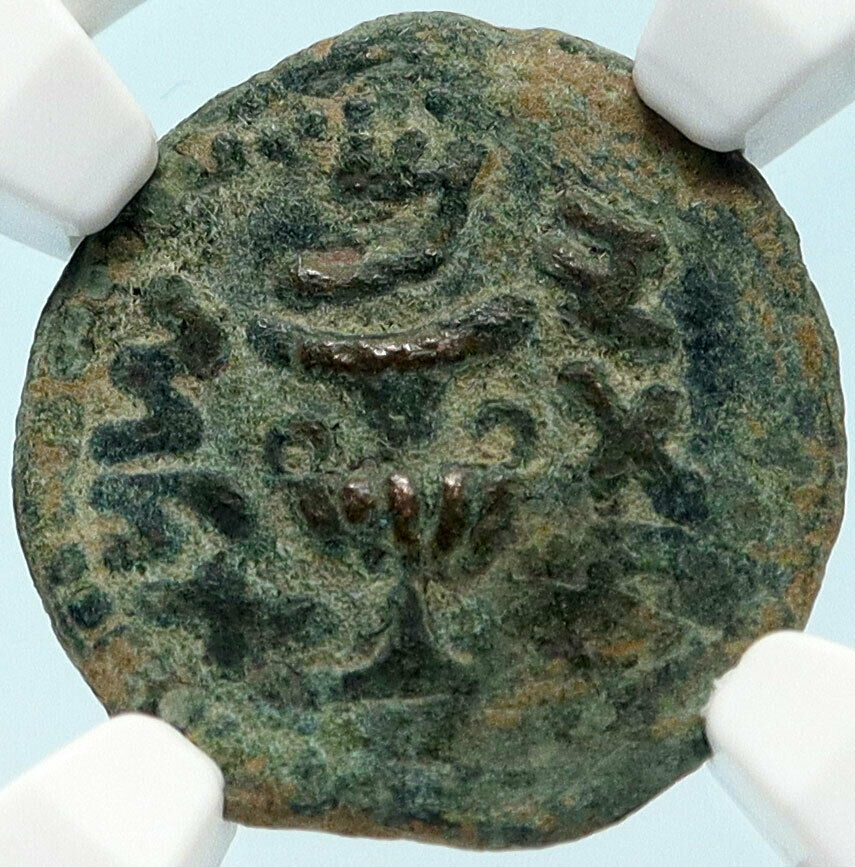 Authentic Ancient JEWISH WAR vs ROMANS 67AD Historical JERUSALEM Coin NGC i83921