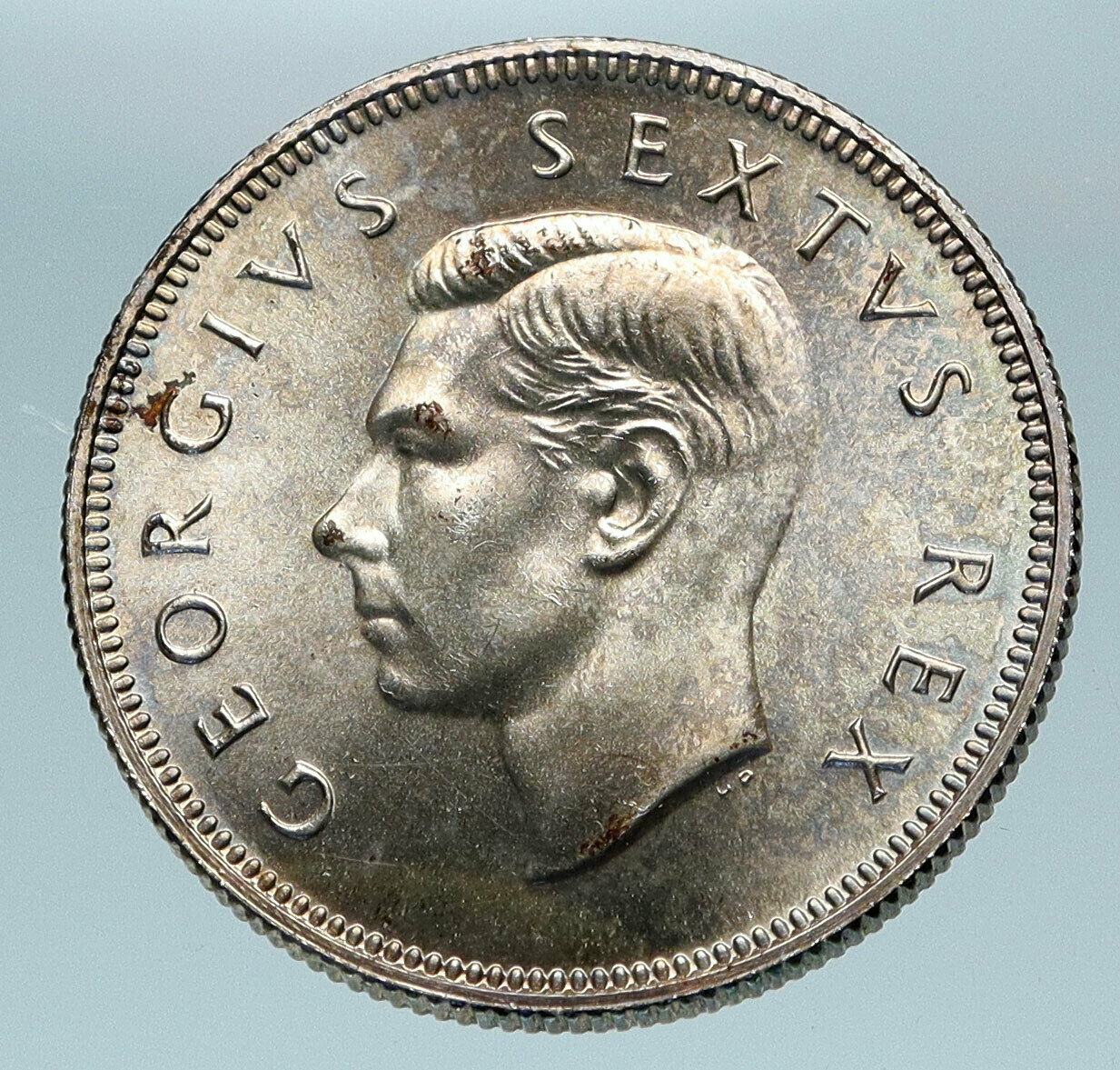 1952 SOUTH AFRICA Large GEORGE VI Shields VINTAGE Silver 2 Shillings Coin i84112