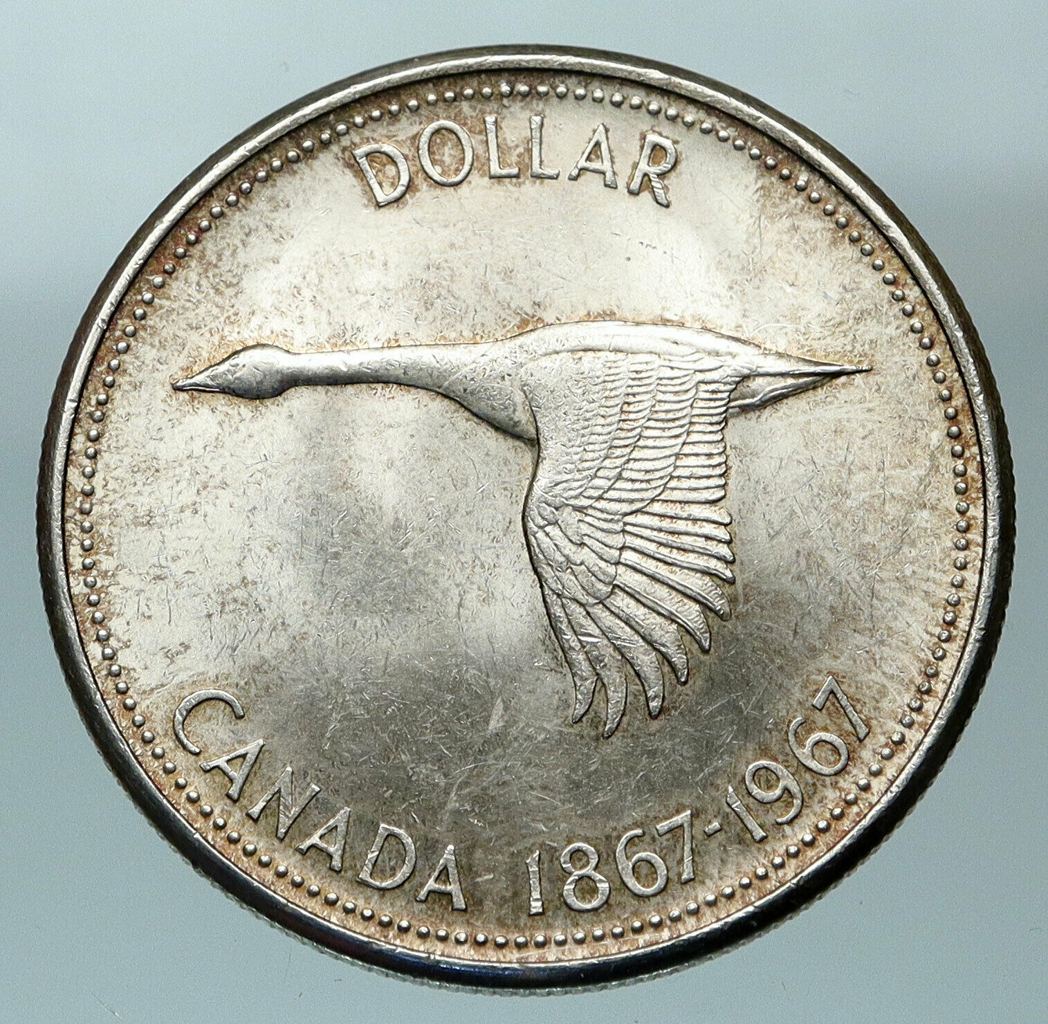 1967 CANADA Confederation Founding OLD Goose Genuine Silver Dollar Coin i84496