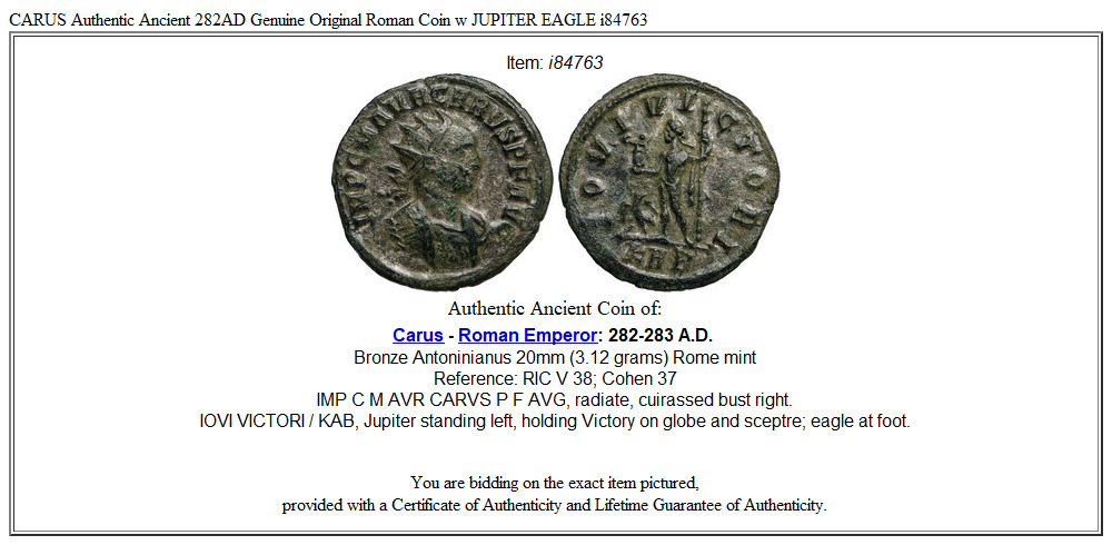 CARUS Authentic Ancient 282AD Genuine Original Roman Coin w JUPITER EAGLE i84763