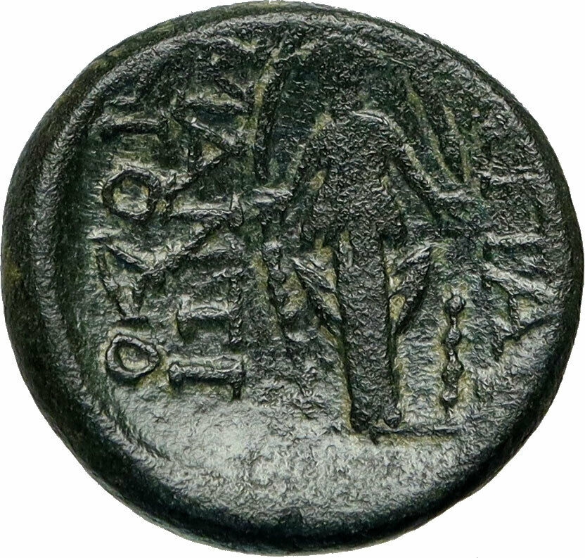 APAMEIA in PHRYGIA 88BC Authentic Ancient Greek Coin ZEUS ARTEMIS Statue i85016