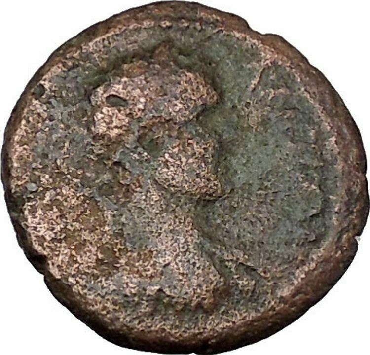 CARACALLA Nicopolis ad Istrum Rare OLD Ancient Roman Coin Basket of Fruit i48366