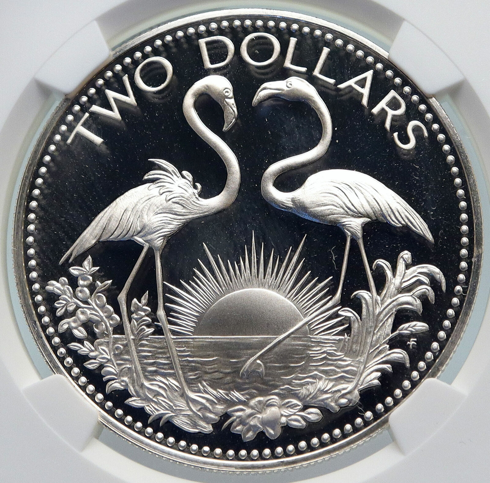 1975 The BAHAMAS Old Queen Elizabeth II FLAMINGO Proof Silver $2 Coin NGC i85382