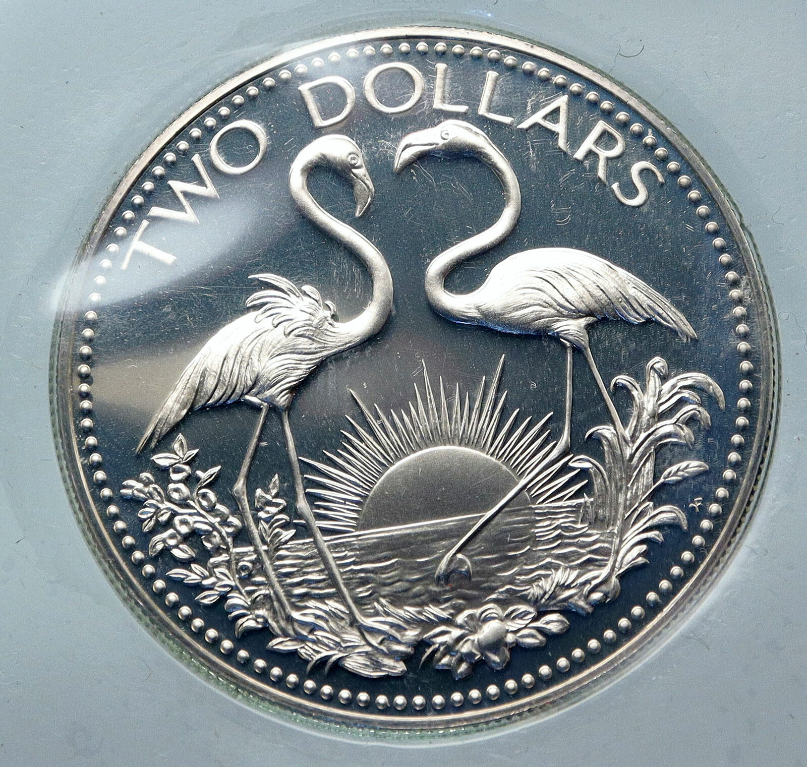 1974 The BAHAMAS Islands TWO FLAMINGOS Vintage Proof Silver 2 Dollar Coin i85541