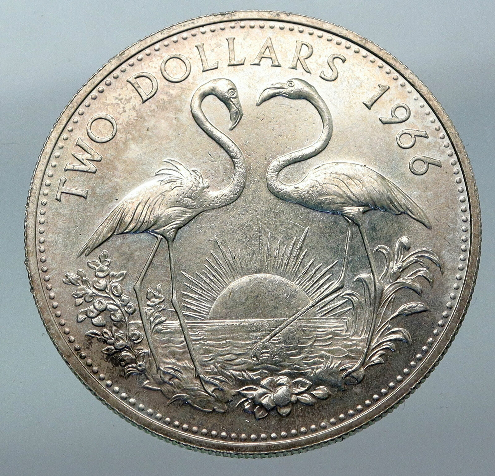 1966 The BAHAMAS Elizabeth II FLAMINGO Birds LARGE SILVER 2 Dollars Coin i85516