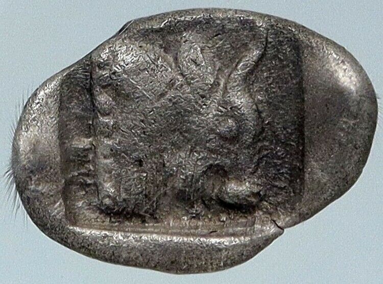 Chersonesos Caria Authentic Ancient ARCHAIC 500BC Silver Greek Coin NGC i85483