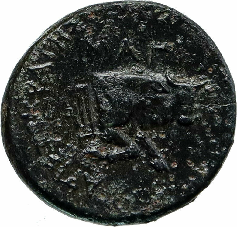 MAGNESIA ad MAEANDRUM in IONIA Authentic Ancient 350BC Greek Coin BULL i85438