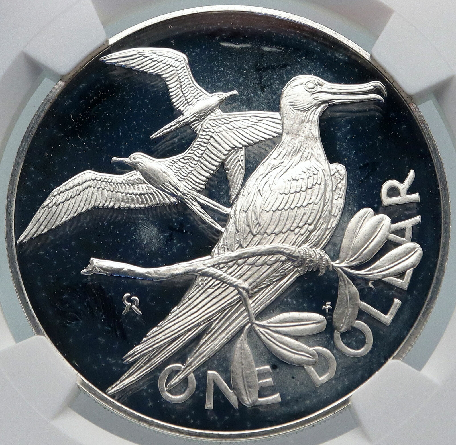 1973 British Virgin Islands Queen Elizabeth II BIRD Proof Silver Coin NGC i85471