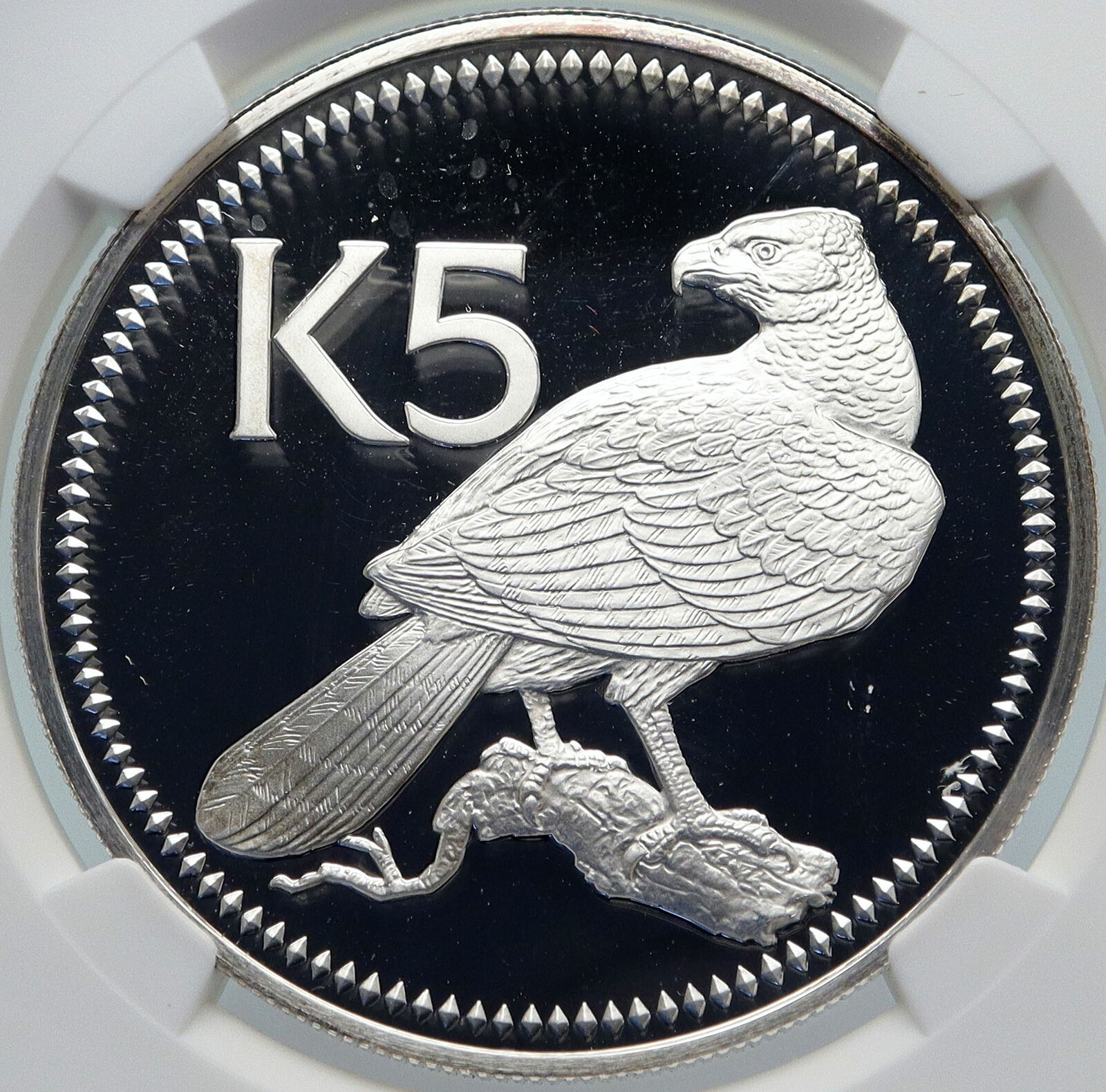 1976 PAPUA NEW GUINEA w PAPUAN Harpy EAGLE Proof Silver 5 Kina Coin NGC i85472