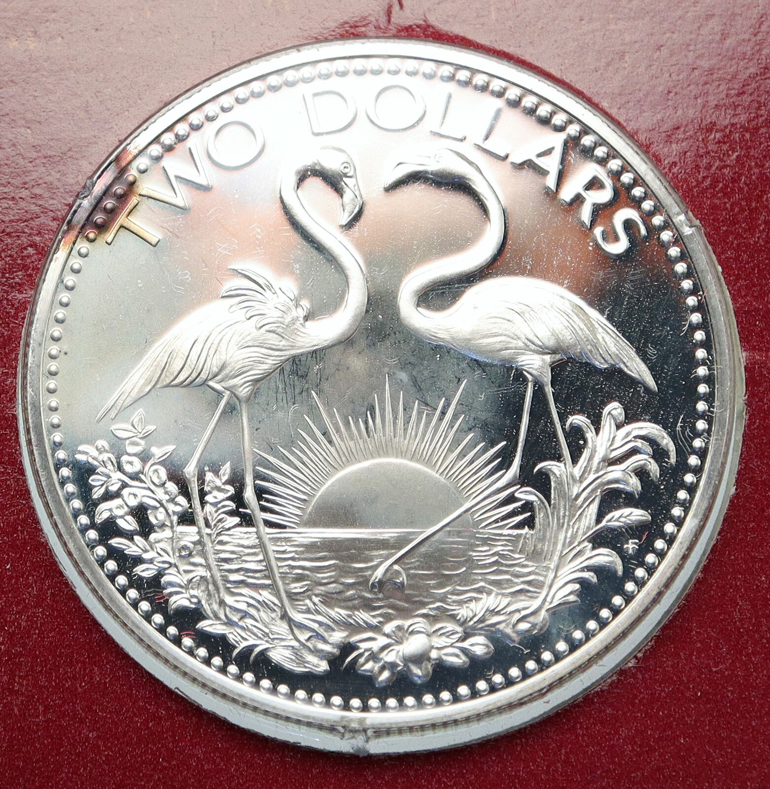 1974 The BAHAMAS Islands TWO FLAMINGOS Vintage Proof Silver 2 Dollar Coin i85620