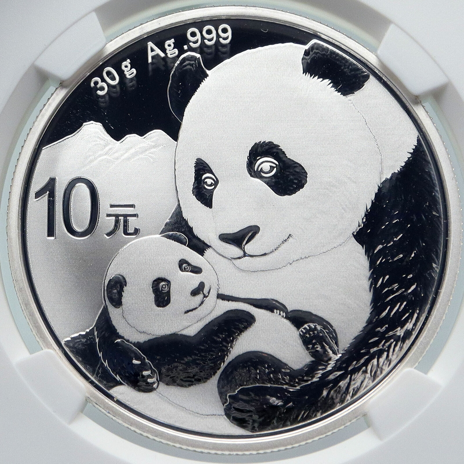 2019 CHINA PANDA MOM w CUB Genuine Silver 10 Yuan Chinese Coin NGC MS70 i85717