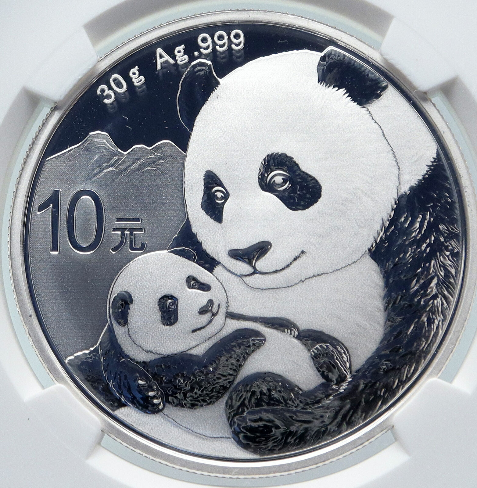 2019 CHINA PANDA MOM w CUB Genuine Silver 10 Yuan Chinese Coin NGC MS70 i85714