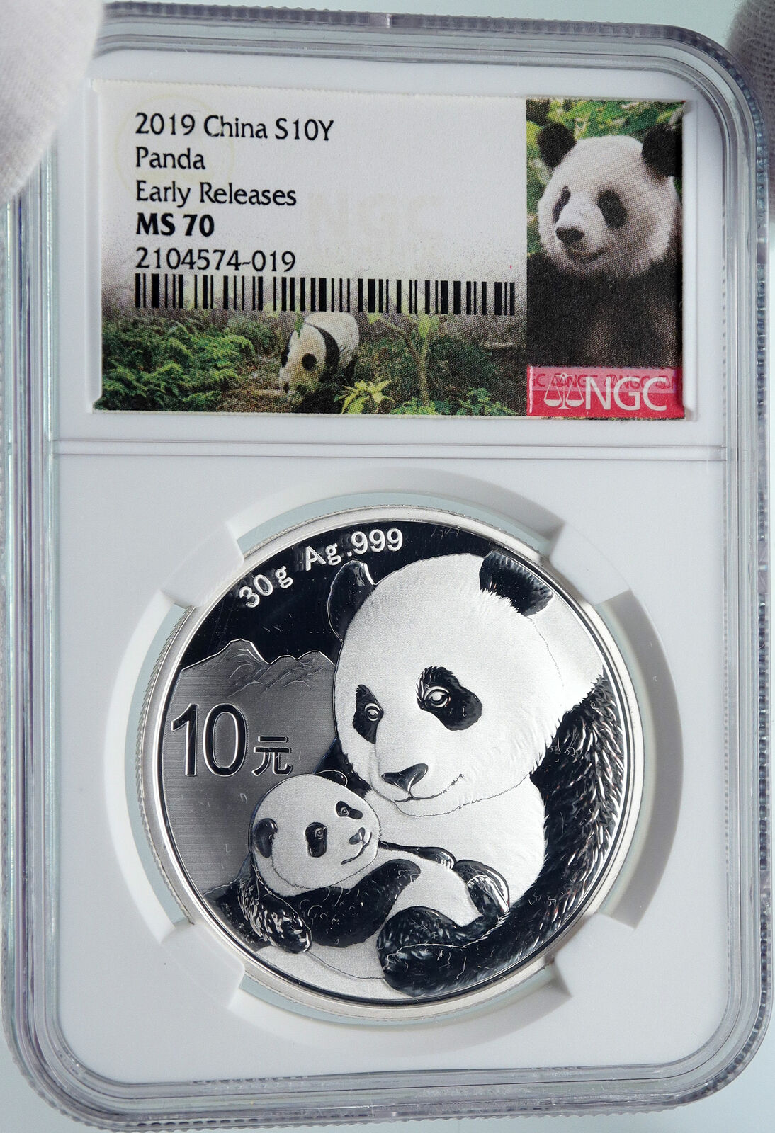 2019 CHINA PANDA MOM w CUB Genuine Silver 10 Yuan Chinese Coin NGC MS70 i85714