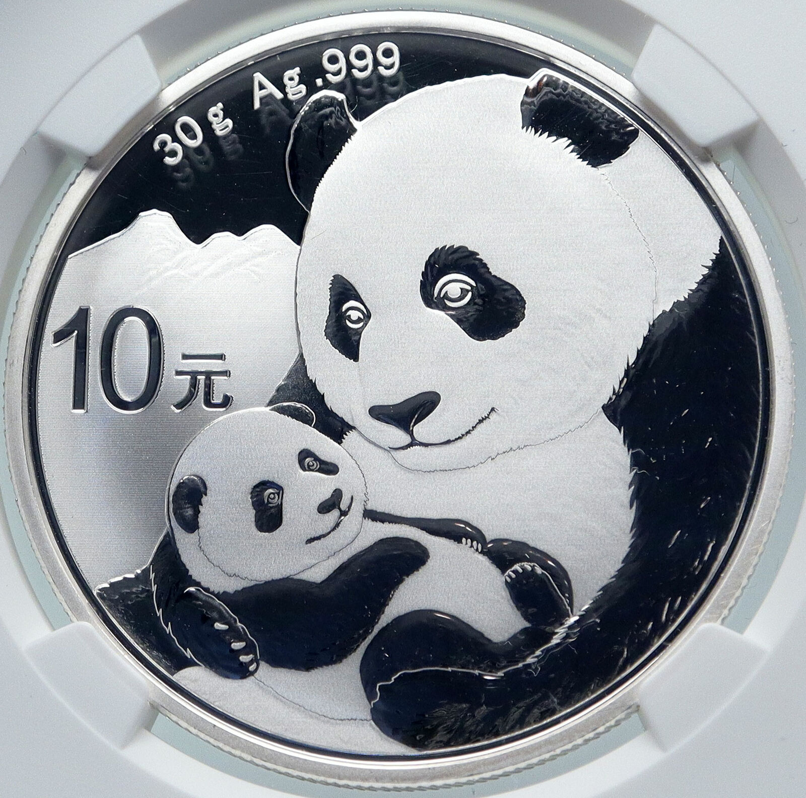 2019 CHINA PANDA MOM w CUB Genuine Silver 10 Yuan Chinese Coin NGC MS70 i85710