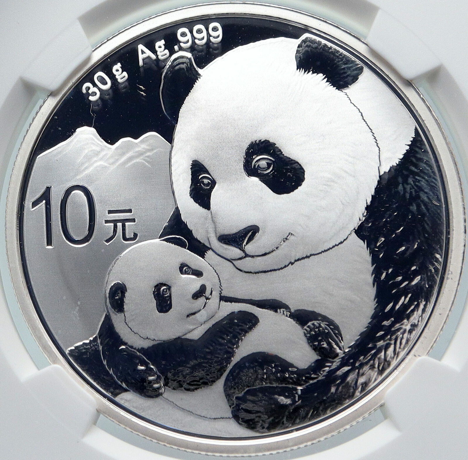 2019 CHINA PANDA MOM w CUB Genuine Silver 10 Yuan Chinese Coin NGC MS70 i85718