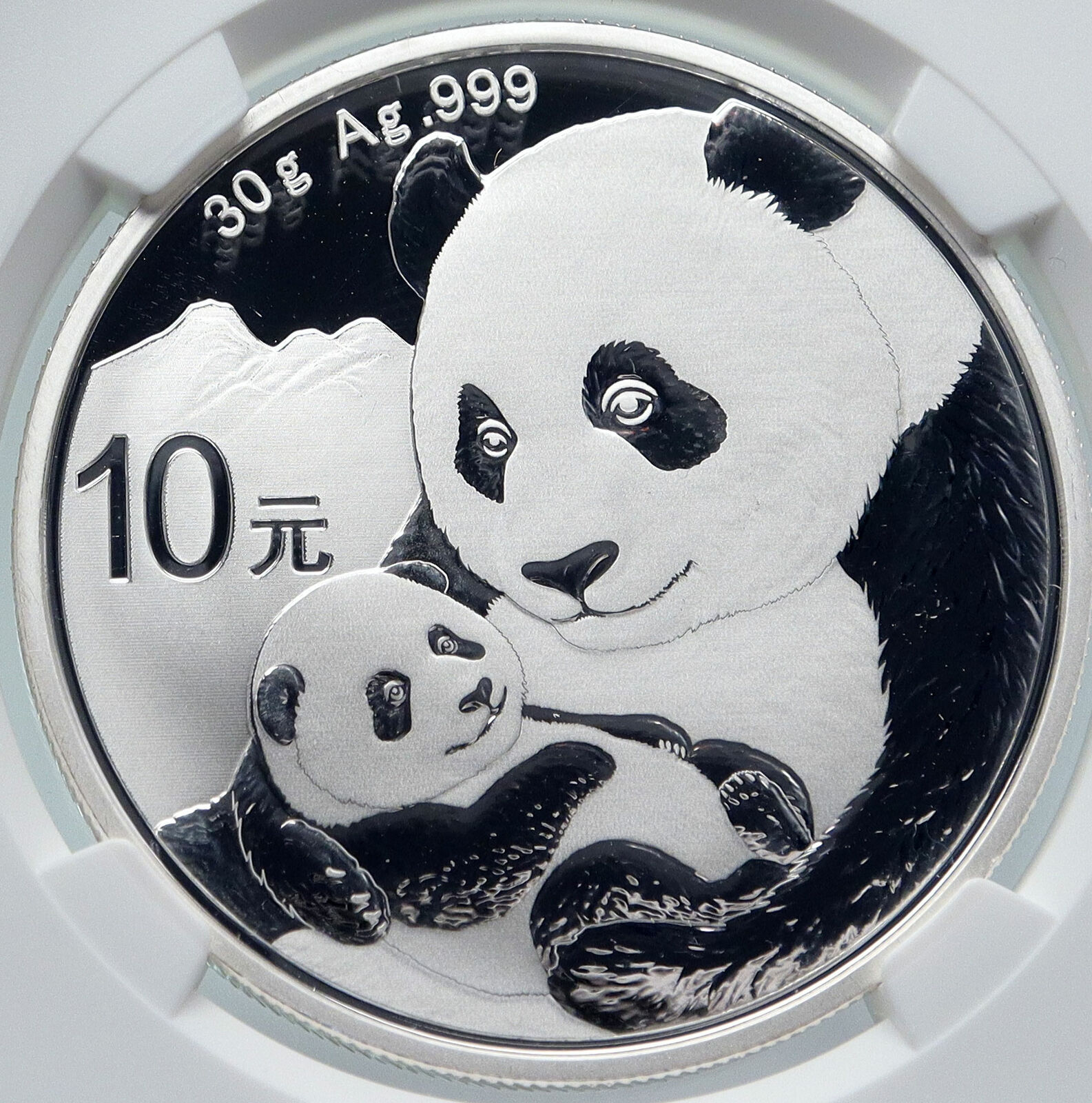 2019 CHINA PANDA MOM w CUB Genuine Silver 10 Yuan Chinese Coin NGC MS70 i85715