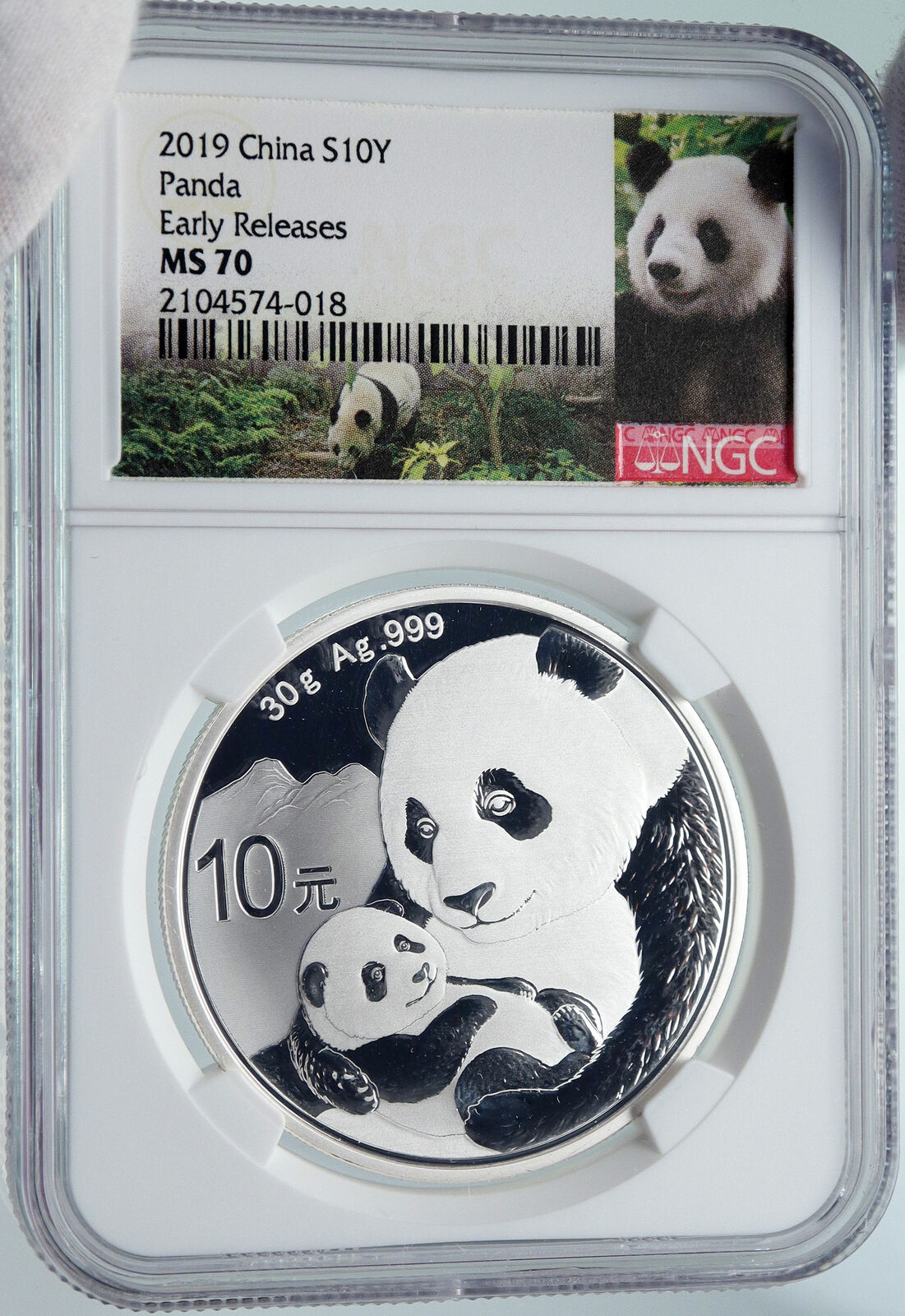 2019 CHINA PANDA MOM w CUB Genuine Silver 10 Yuan Chinese Coin NGC MS70 i85715