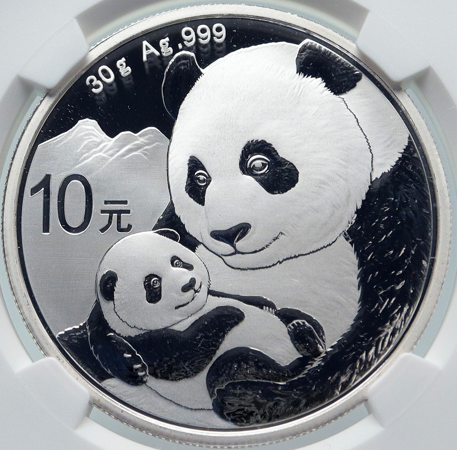 2019 CHINA PANDA MOM w CUB Genuine Silver 10 Yuan Chinese Coin NGC MS70 i85719