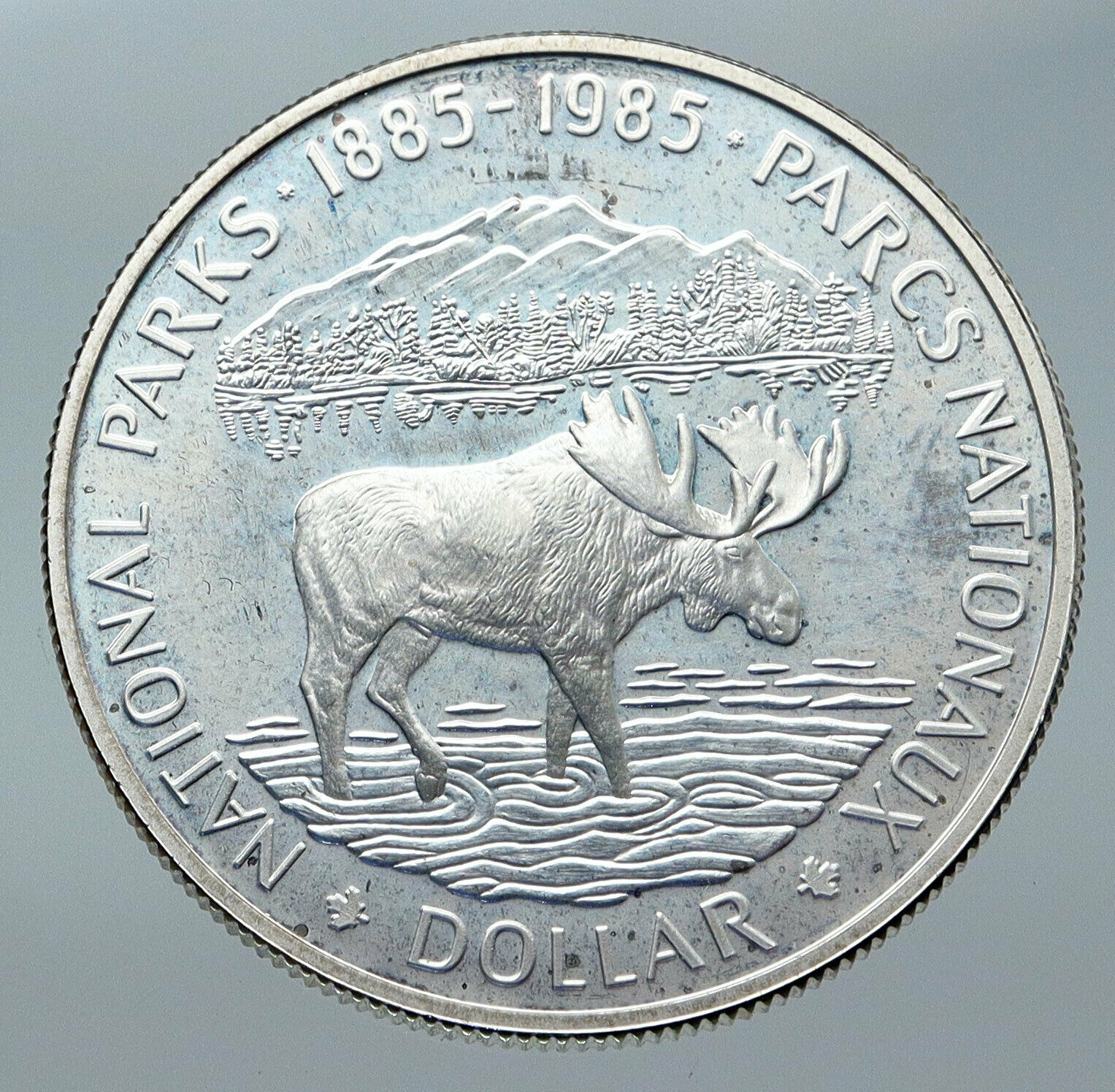 1985 CANADA UK Queen Elizabeth II National Parks MOOSE Proof SILVER Coin i85750