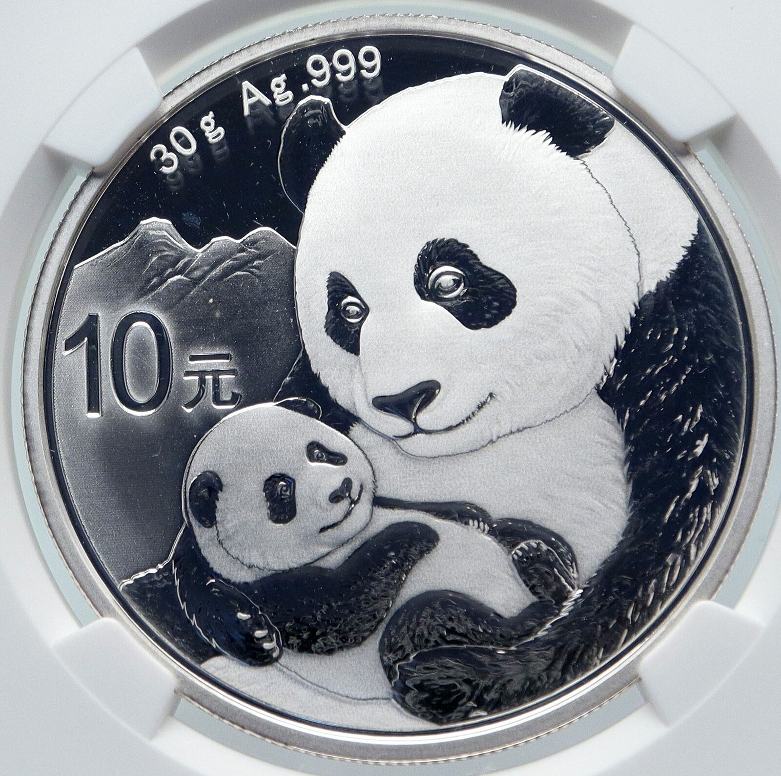 2019 CHINA PANDA MOM w CUB Genuine Silver 10 Yuan Chinese Coin NGC MS70 i85716