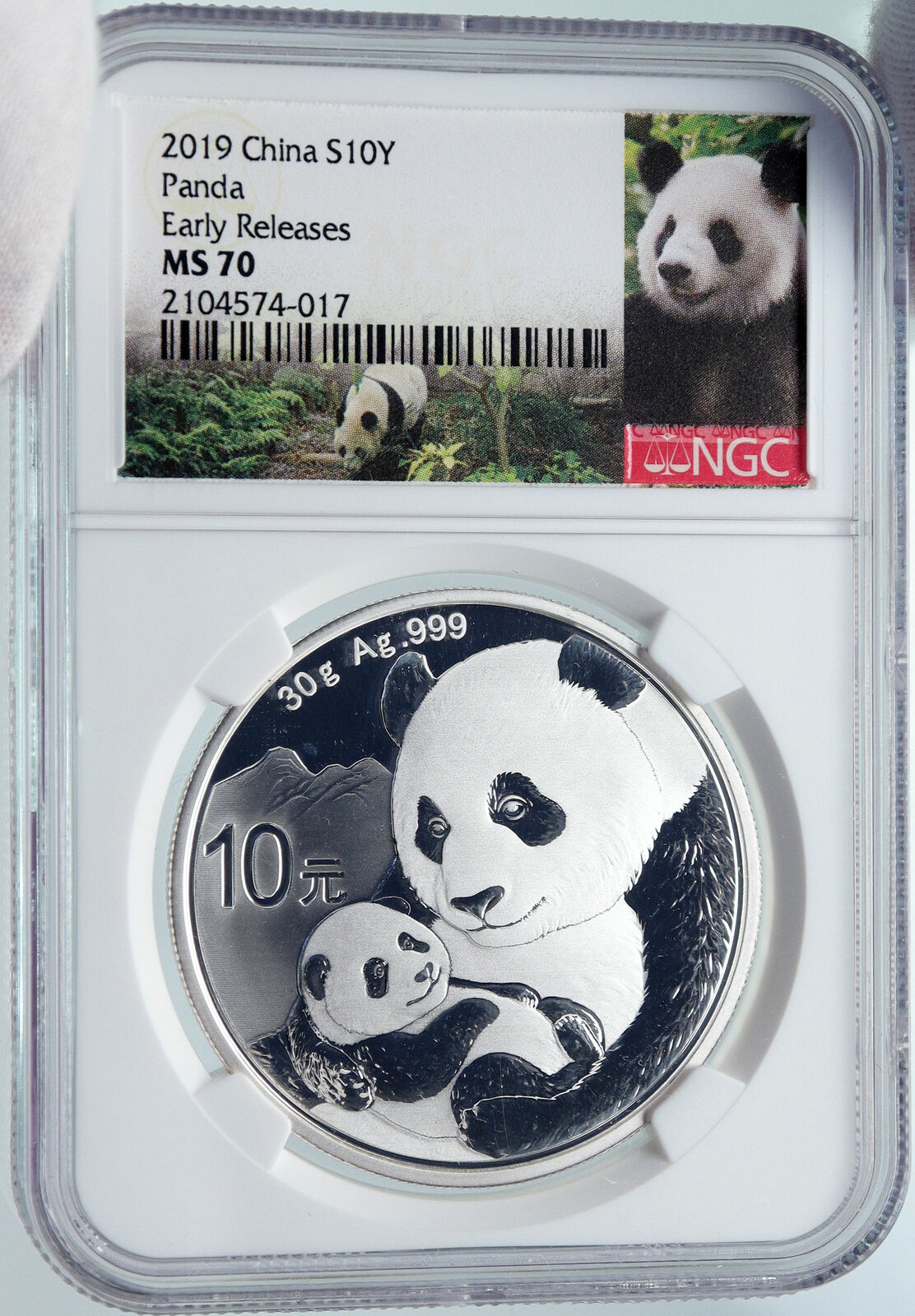 2019 CHINA PANDA MOM w CUB Genuine Silver 10 Yuan Chinese Coin NGC MS70 i85716