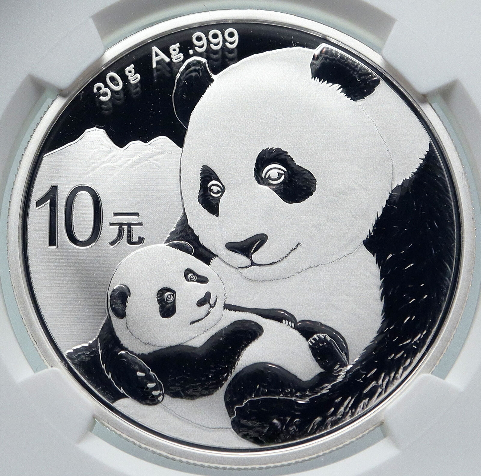 2019 CHINA PANDA MOM w CUB Genuine Silver 10 Yuan Chinese Coin NGC MS70 i85712