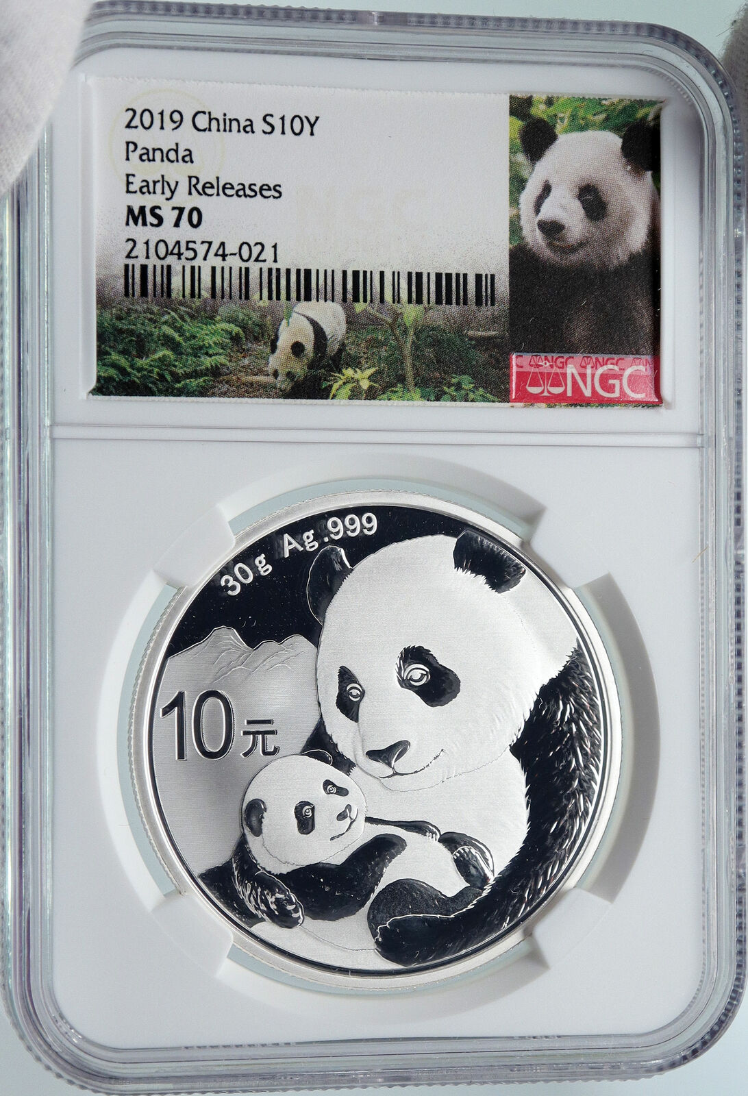 2019 CHINA PANDA MOM w CUB Genuine Silver 10 Yuan Chinese Coin NGC MS70 i85712