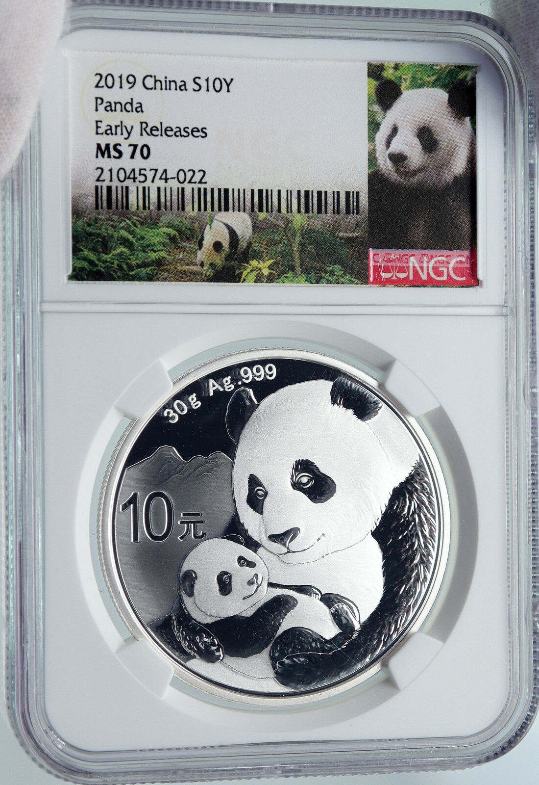 2019 CHINA PANDA MOM w CUB Genuine Silver 10 Yuan Chinese Coin NGC MS70 i85711