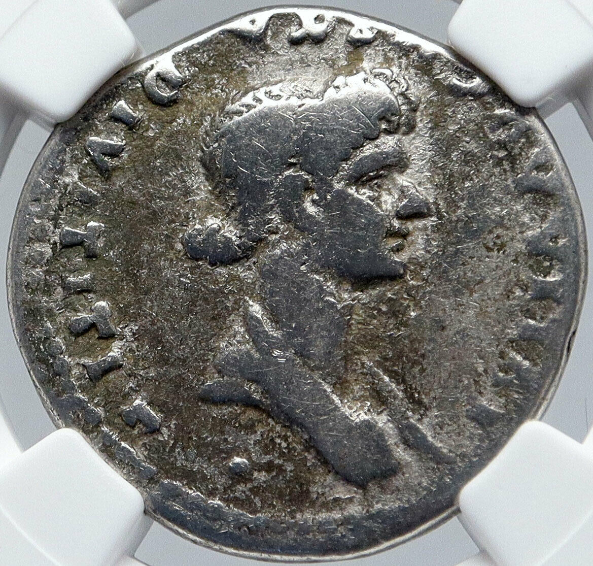 JULIA TITI - TITUS Daughter Cistphoric Tetradrachm Ephesus Roman Coin NGC i85671