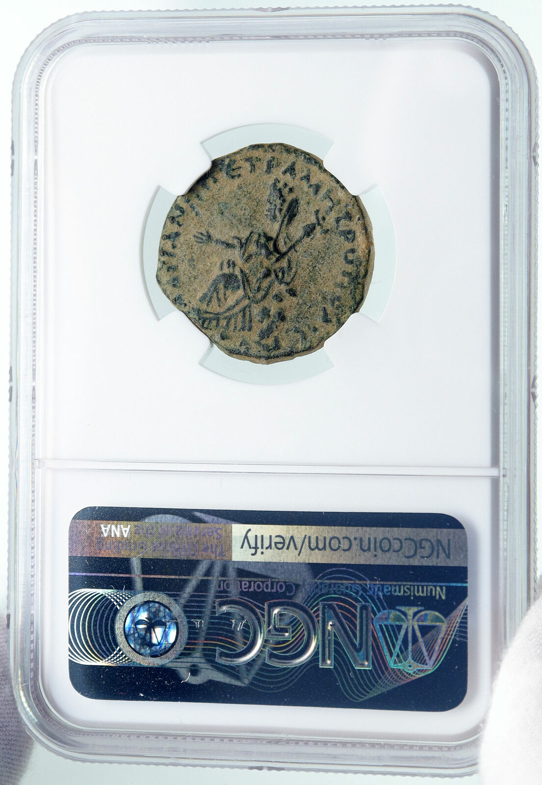 HADRIAN Authentic Ancient 117AD Ancient Roman Coin PETRA DECAPOLIS NGC i86383