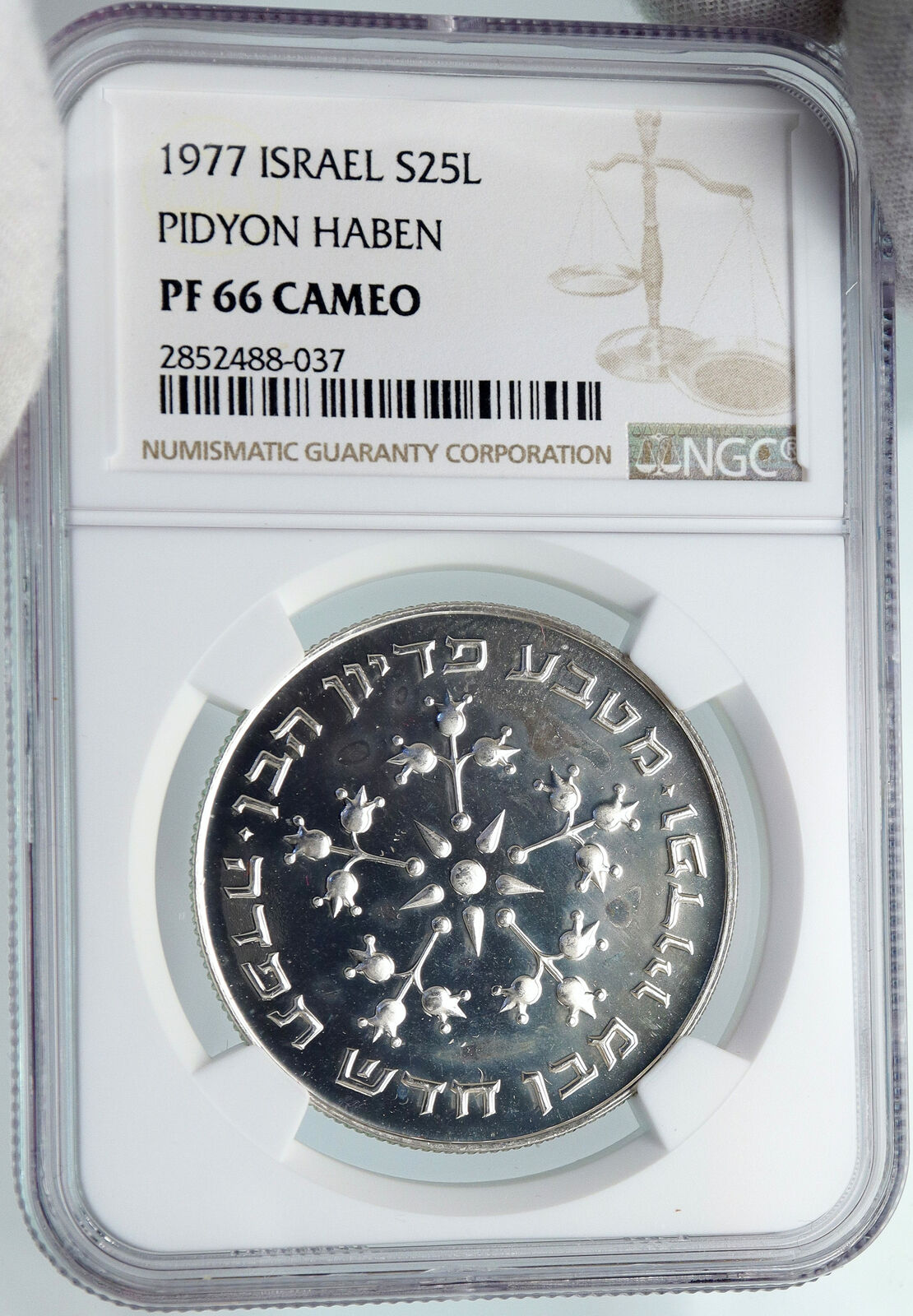 1977 ISRAEL Jewish Pidyon Haben POMEGRANATE MENORAH Silver 25 L Coin NGC i87939