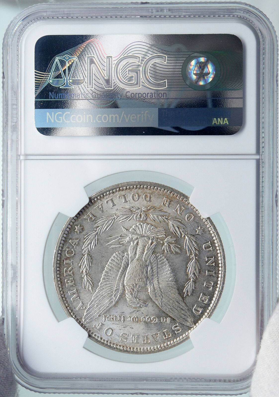 1886 UNITED STATES of America SILVER Morgan US Dollar Coin EAGLE NGC i87818