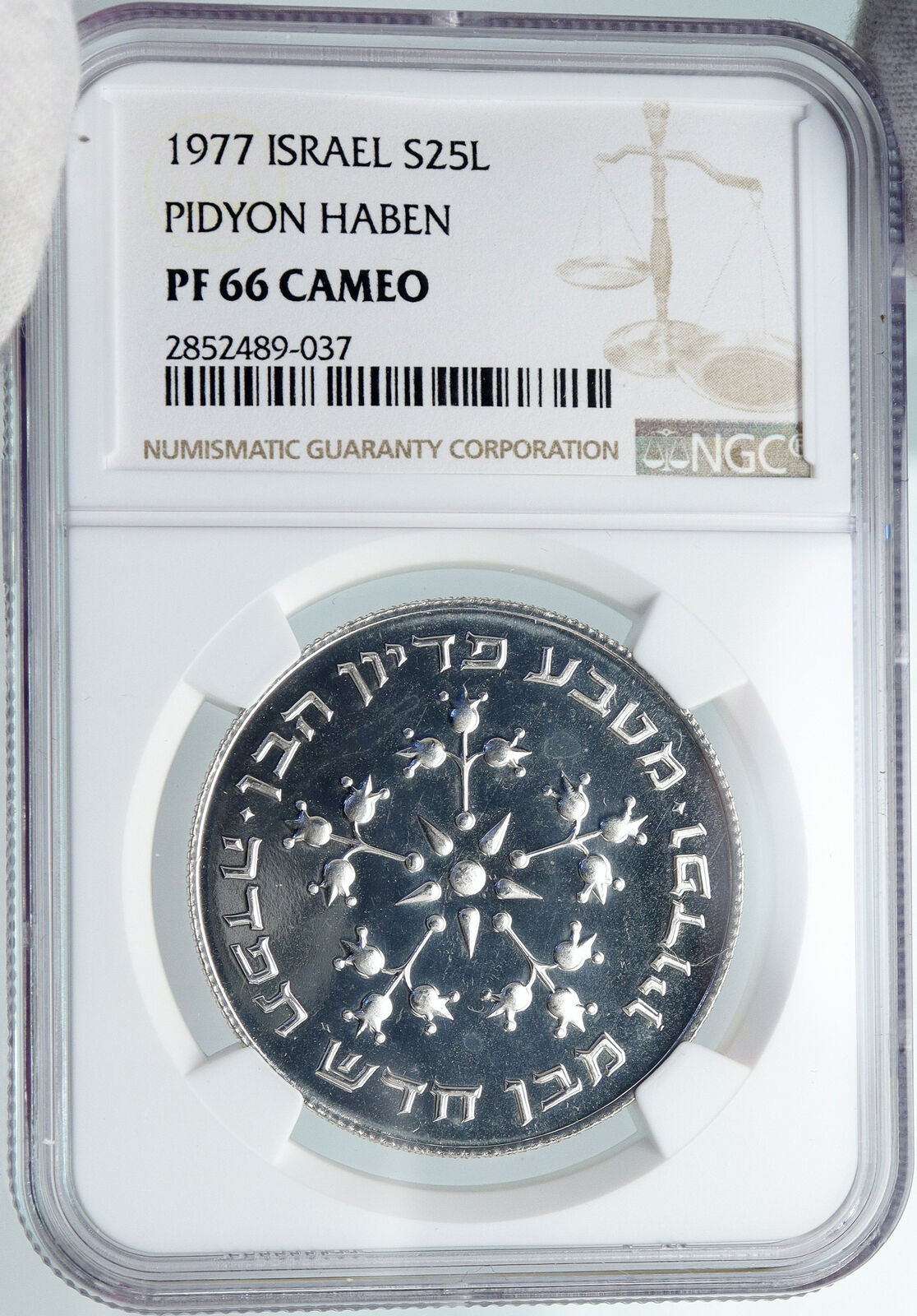 1977 ISRAEL Jewish Pidyon Haben POMEGRANATE MENORAH Silver 25 L Coin NGC i87991