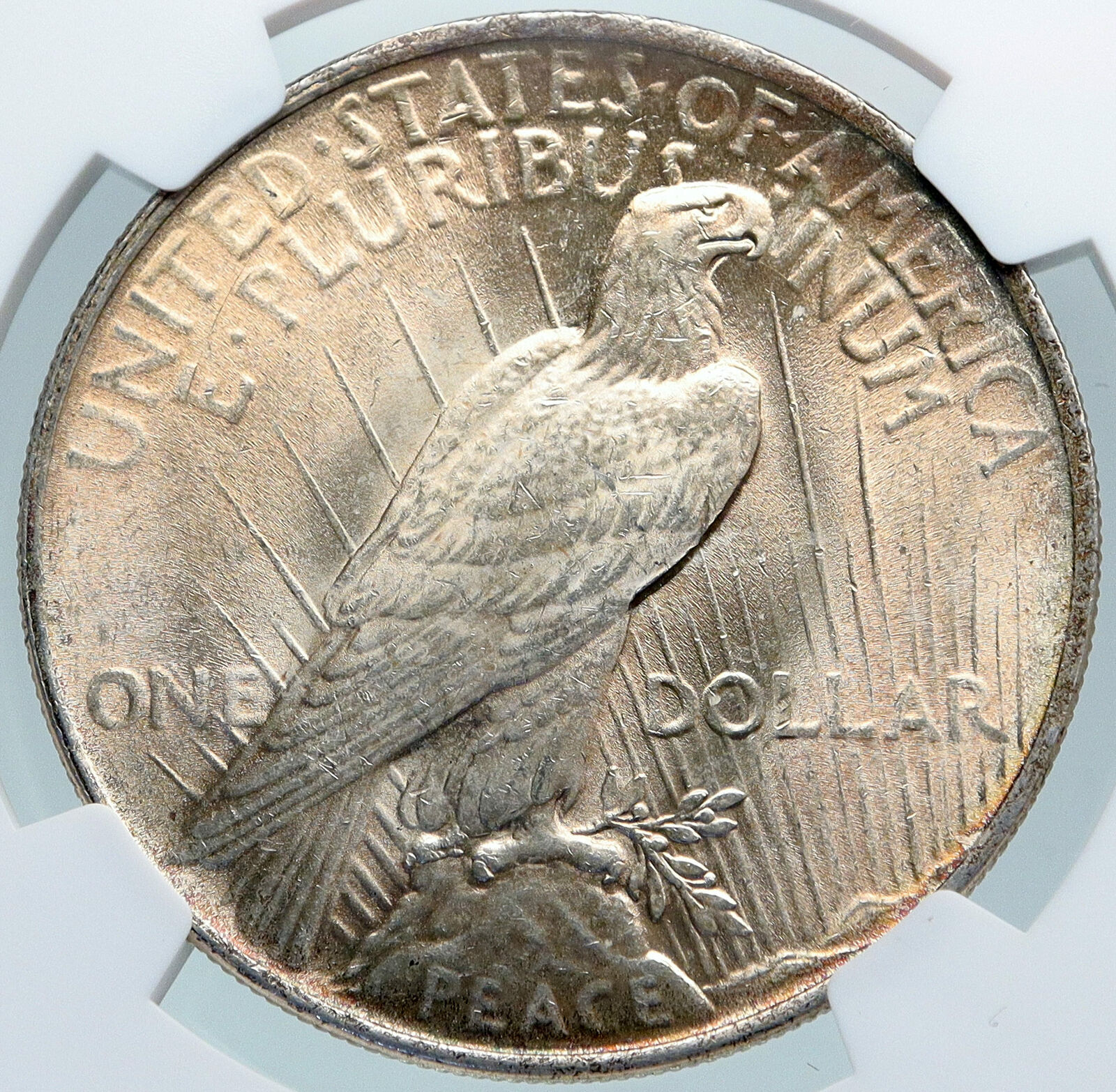 1924 USA United States Coin LIBERTY EAGLE Vintage Silver PEACE DOLLAR NGC i87813