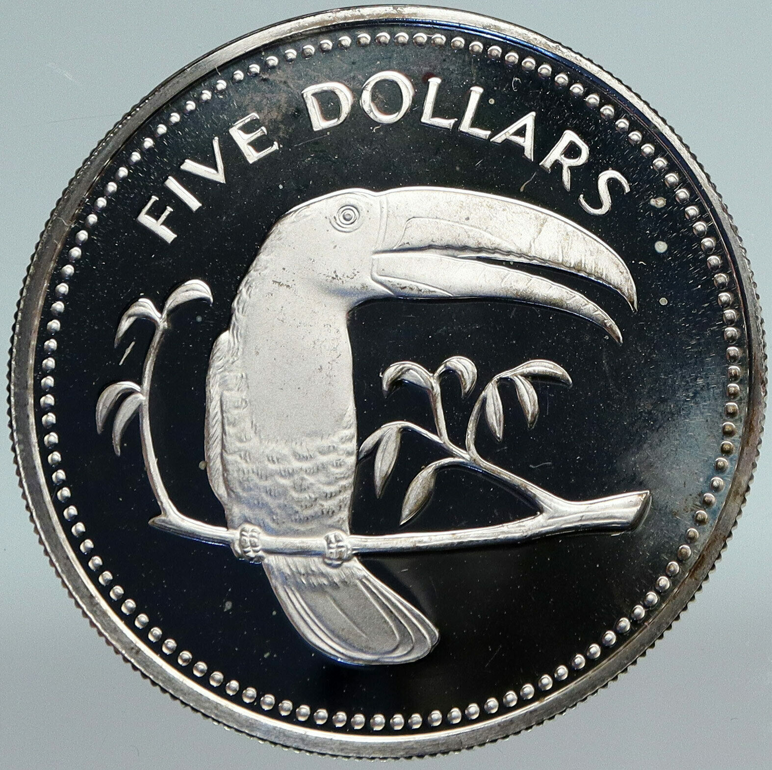 1974 BELIZE Avifauna Toucan BIRD Antique VINTAGE OLD Proof Silver $5 Coin i88224