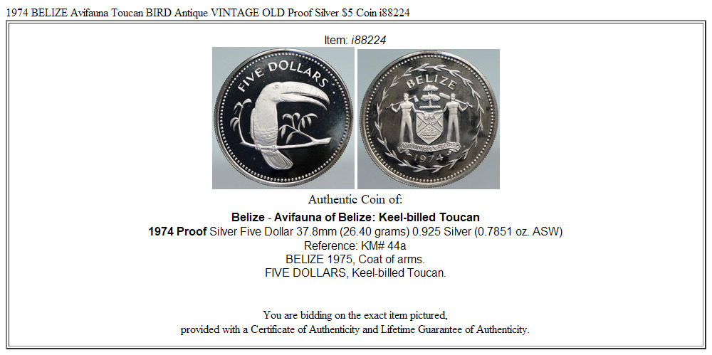 1974 BELIZE Avifauna Toucan BIRD Antique VINTAGE OLD Proof Silver $5 Coin i88224