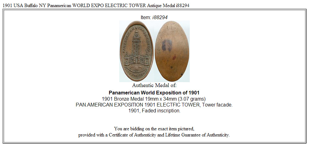 1901 USA Buffalo NY Panamerican WORLD EXPO ELECTRIC TOWER Antique Medal i88294